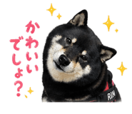 838489696