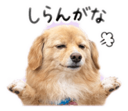838490255