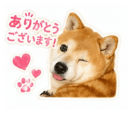 838490353