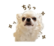 838491067