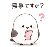 838491217