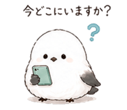 838491229