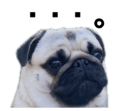 838495135
