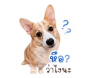 838499932