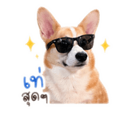 838499933