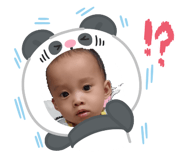 838500024