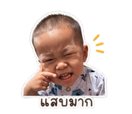 838500685