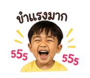 838500817