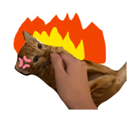 838501921
