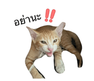 838501925
