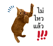 838501930