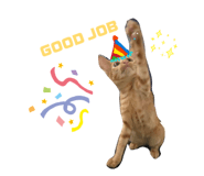 838501937