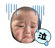 838502941