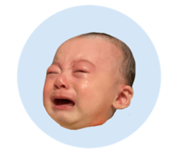 838503762