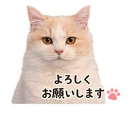 838503990