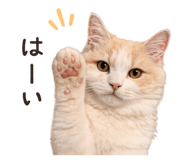 838503994