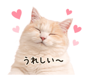 838503999
