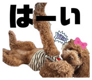 838504006