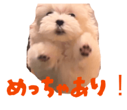 838504158