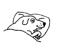 838504367