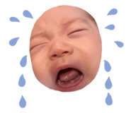838504491