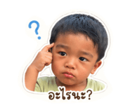 838506202