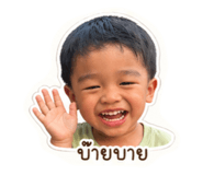 838506205