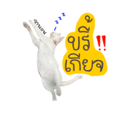 838511171