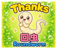 838511684