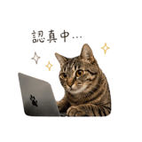 838514808
