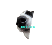 838514895