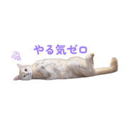 838514930