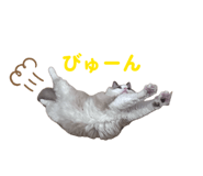 838514933