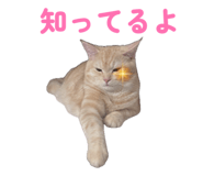 838514934