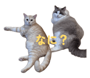 838514936
