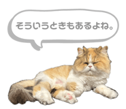 838515678