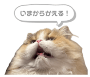 838515682