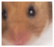 838515901