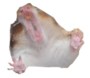 838515903