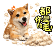 838516026