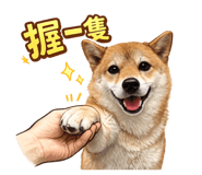 838516055