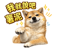 838516056