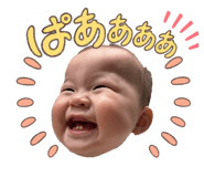 838516316