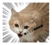 838518578