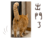 838518668