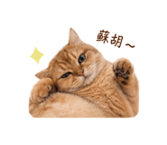 838519292