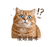 838519298
