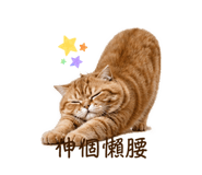 838519300