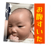 838520244