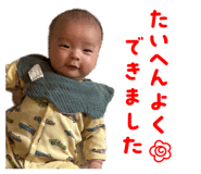 838520335